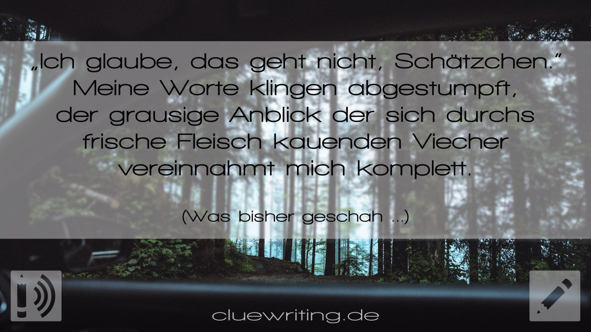 Halloween-Special | Was bisher geschah …